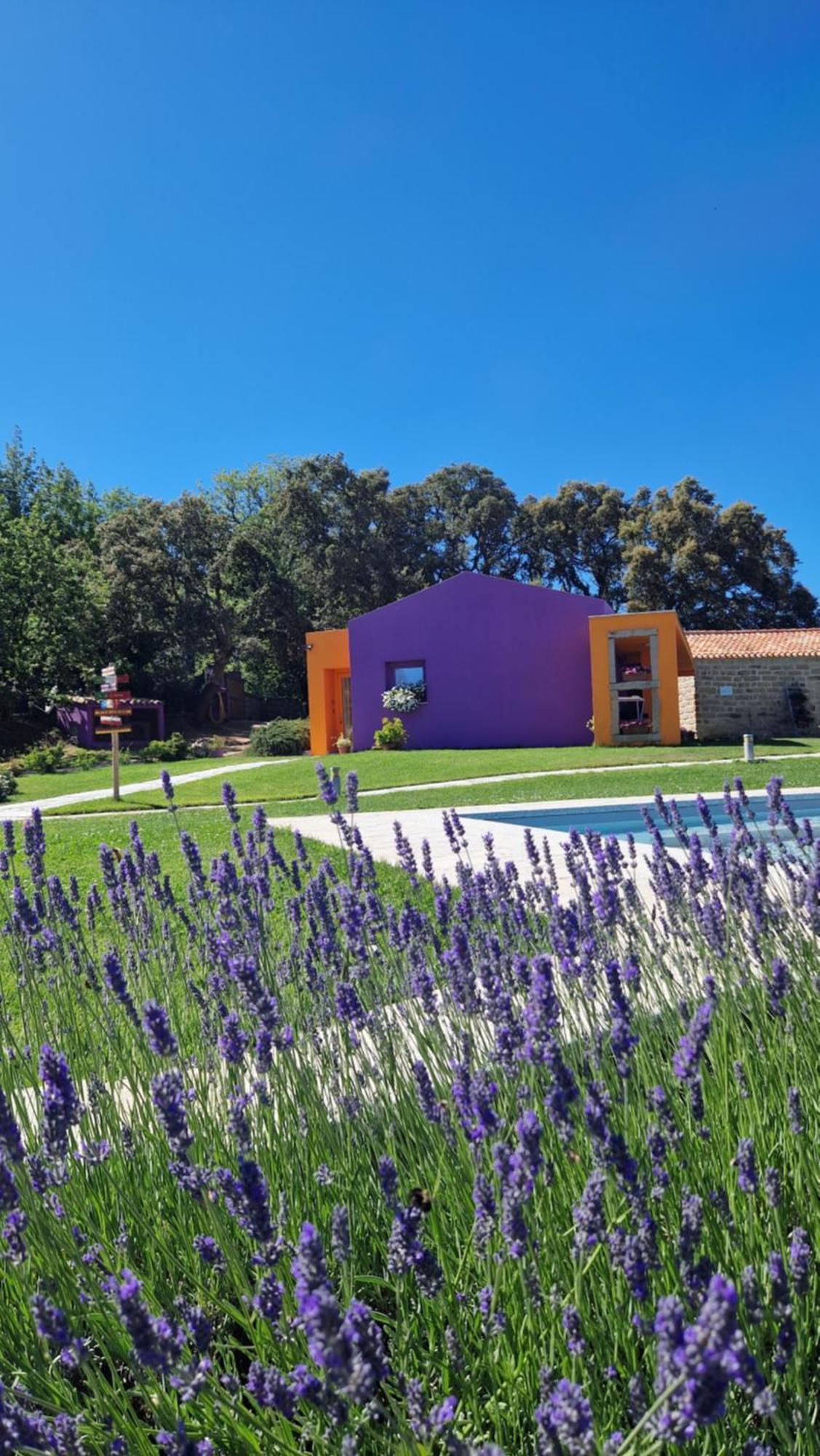 Limbara Dreaming Otel Tempio Pausania Dış mekan fotoğraf