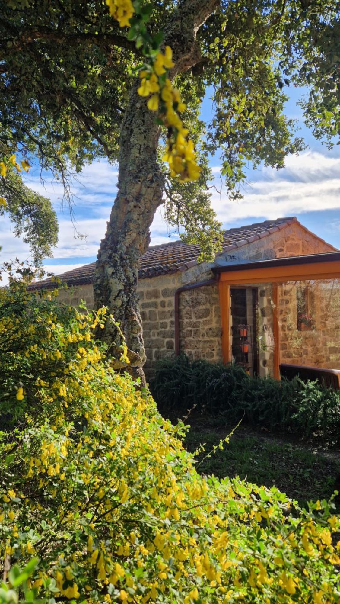 Limbara Dreaming Otel Tempio Pausania Dış mekan fotoğraf