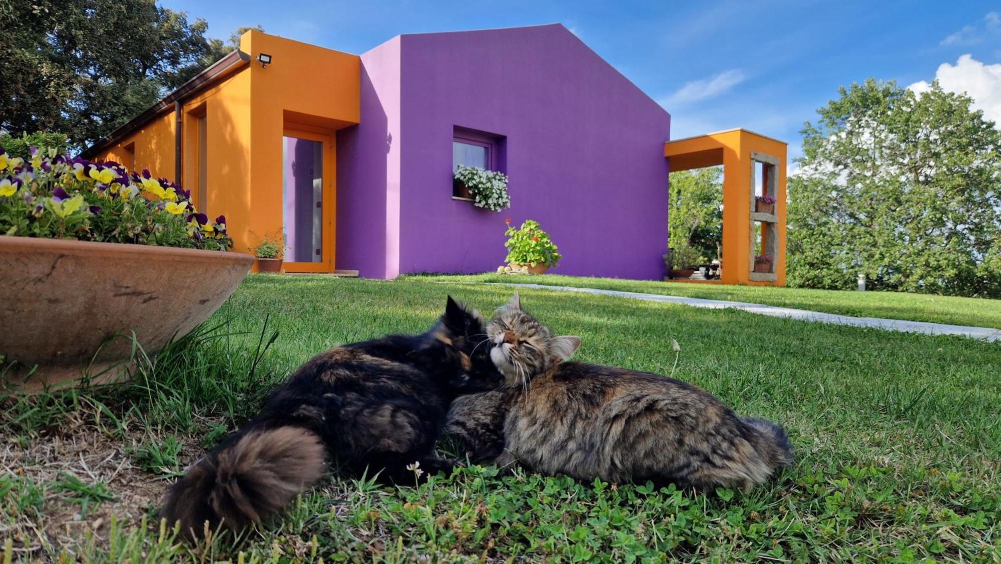 Limbara Dreaming Otel Tempio Pausania Dış mekan fotoğraf