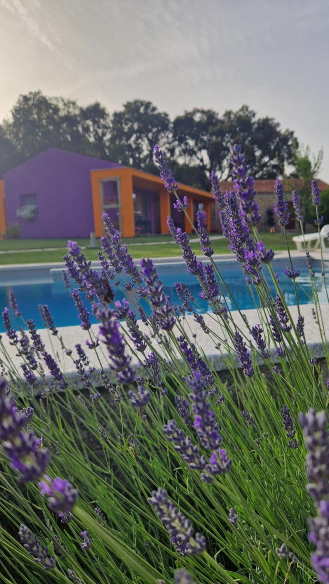 Limbara Dreaming Otel Tempio Pausania Dış mekan fotoğraf