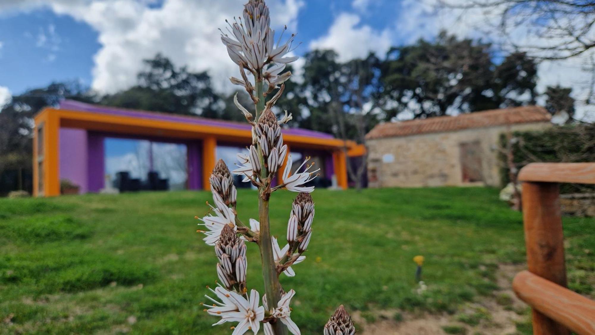 Limbara Dreaming Otel Tempio Pausania Dış mekan fotoğraf