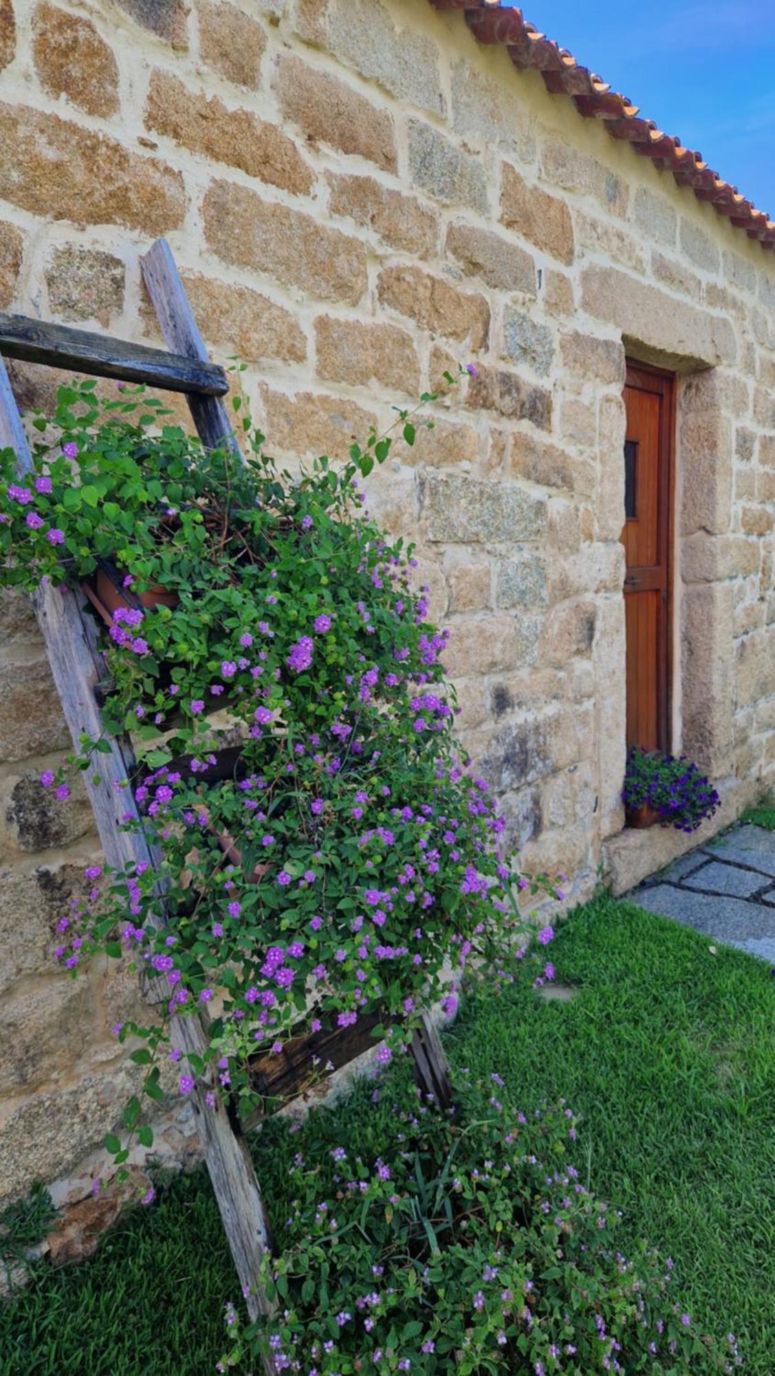 Limbara Dreaming Otel Tempio Pausania Dış mekan fotoğraf