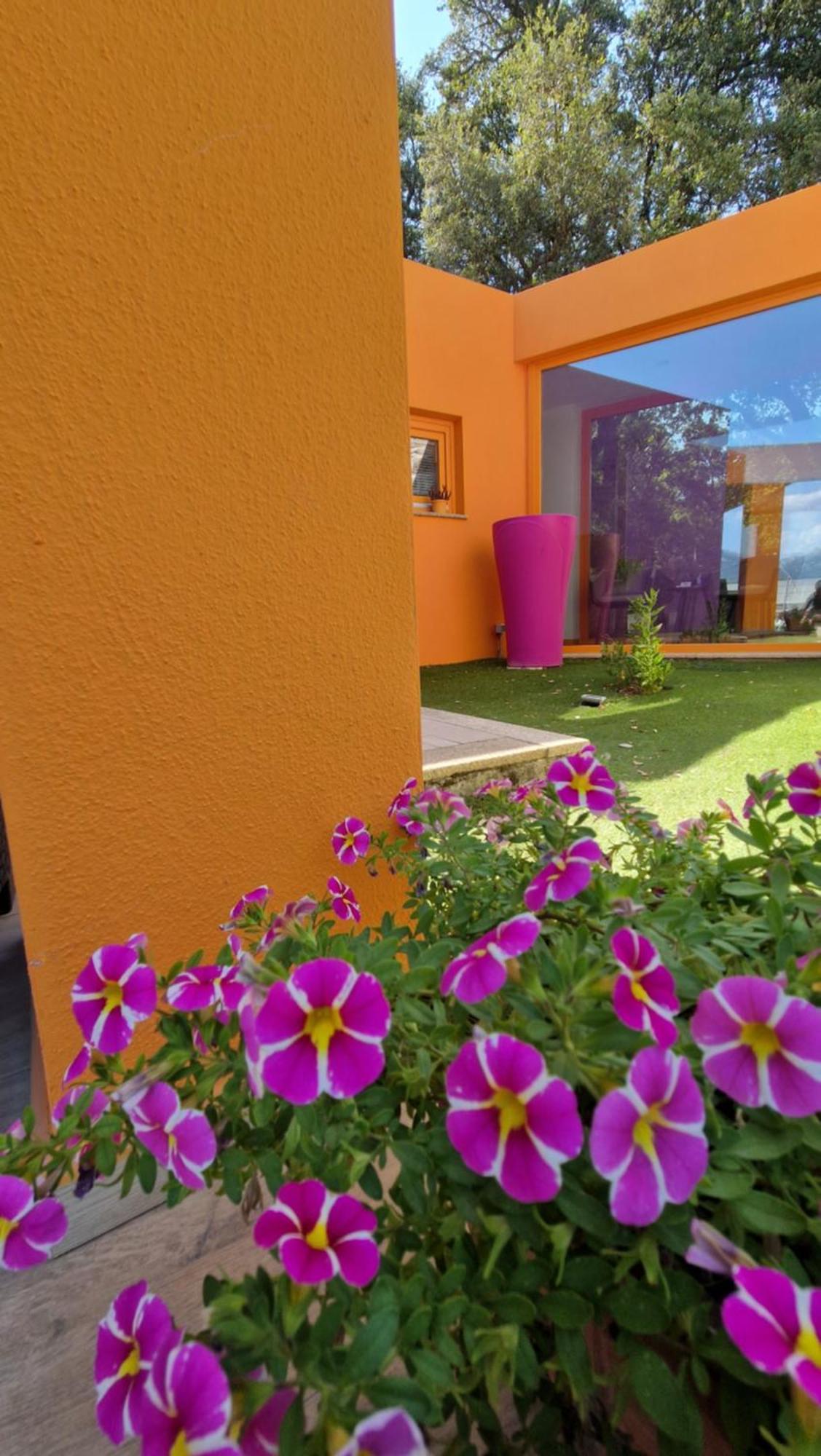 Limbara Dreaming Otel Tempio Pausania Dış mekan fotoğraf