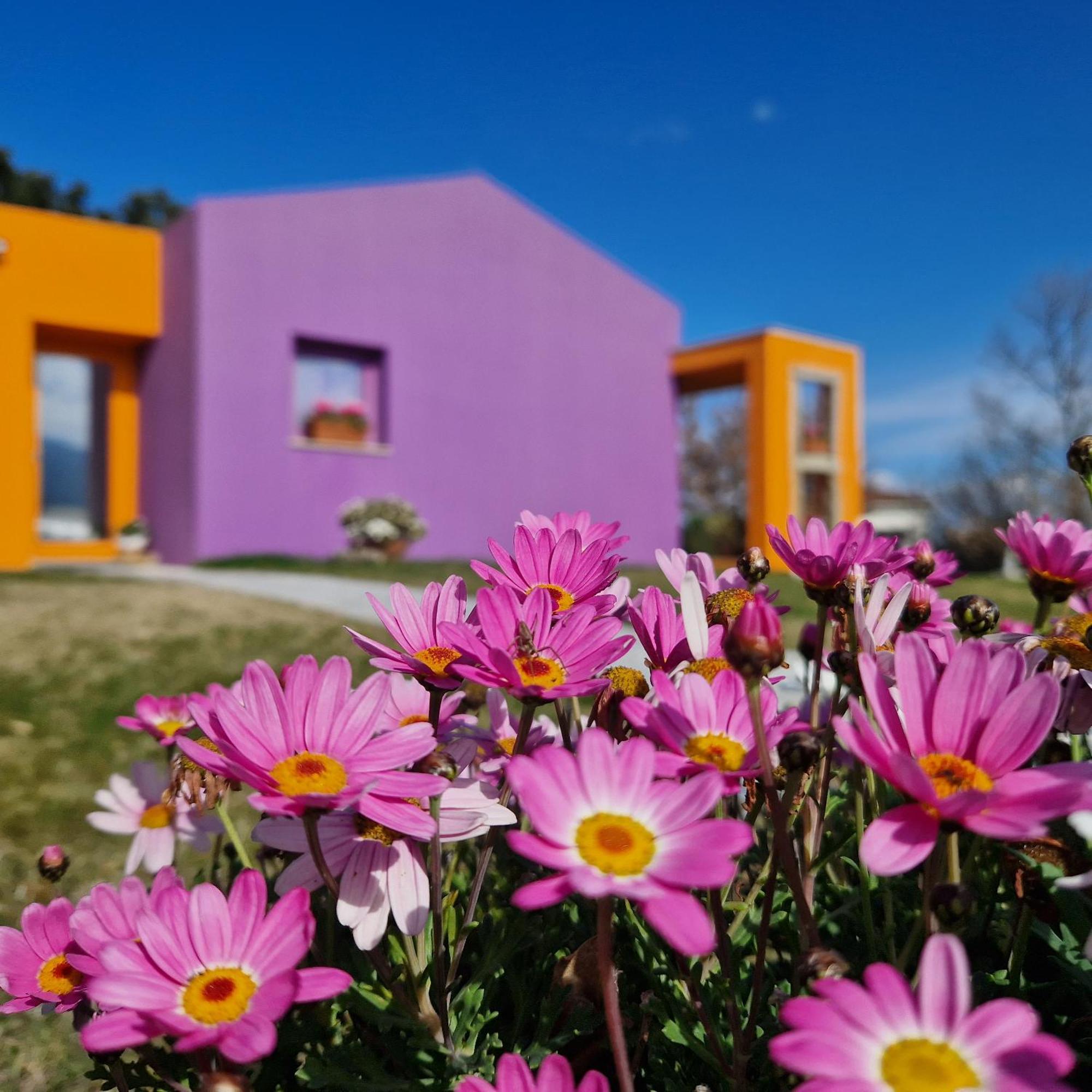 Limbara Dreaming Otel Tempio Pausania Dış mekan fotoğraf
