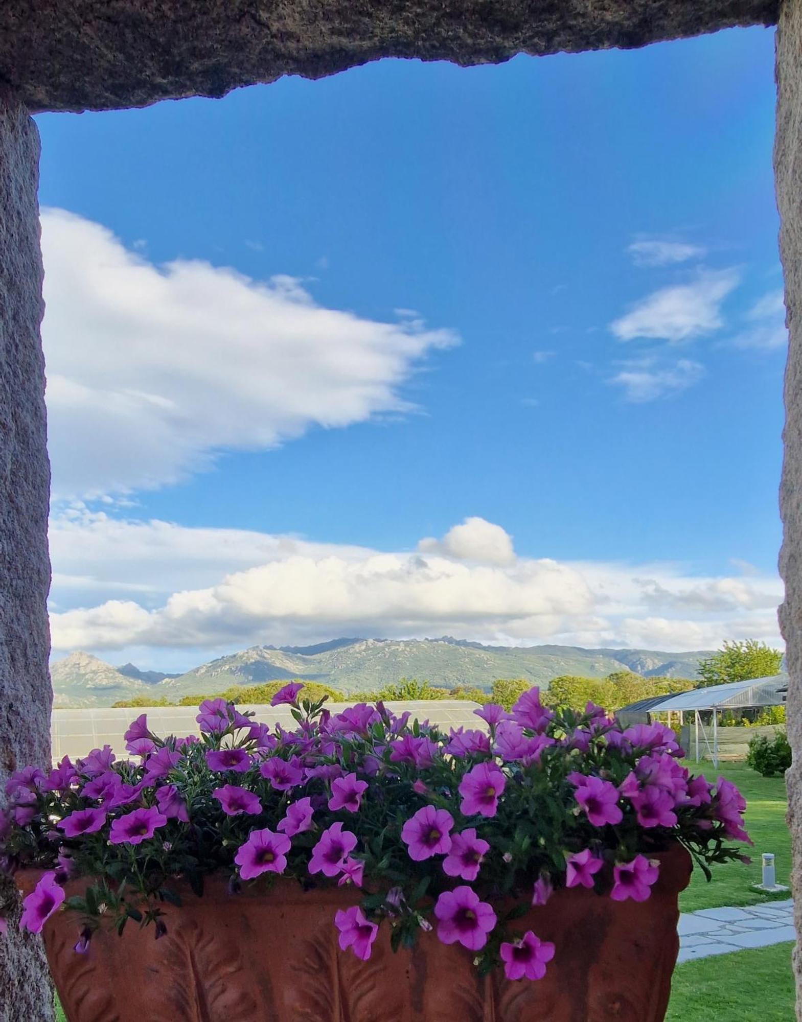 Limbara Dreaming Otel Tempio Pausania Dış mekan fotoğraf